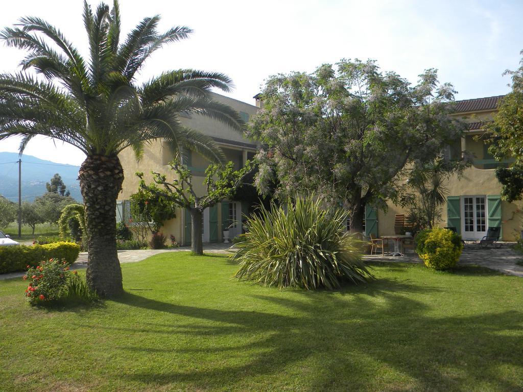 Auberge Les Oliviers Lucciana  Ngoại thất bức ảnh