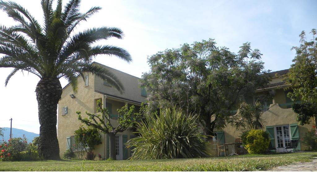 Auberge Les Oliviers Lucciana  Ngoại thất bức ảnh