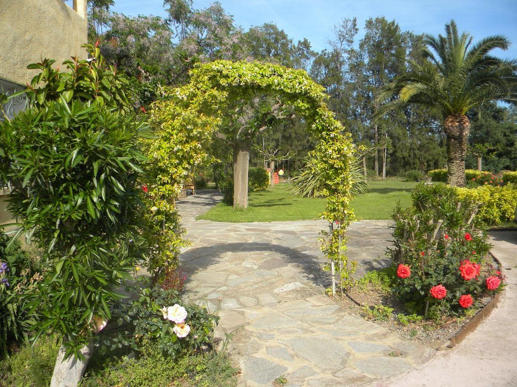 Auberge Les Oliviers Lucciana  Ngoại thất bức ảnh